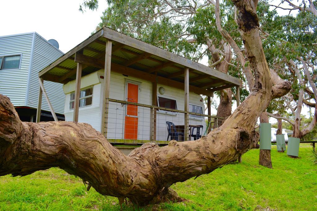 Bimbi Park - Camping Under Koalas Cape Otway Exterior photo