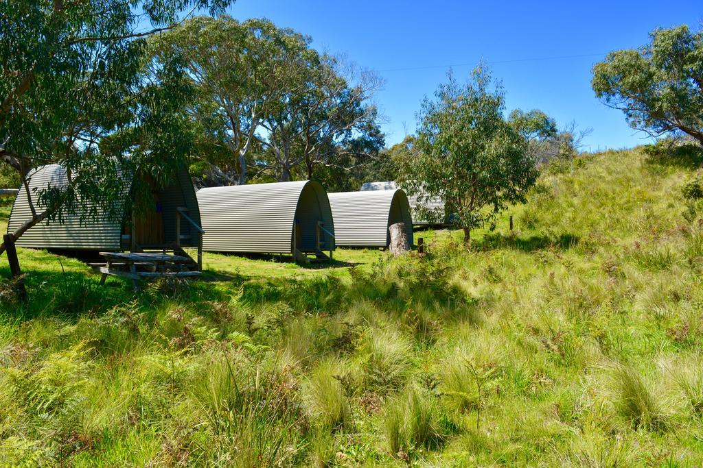 Bimbi Park - Camping Under Koalas Cape Otway Exterior photo